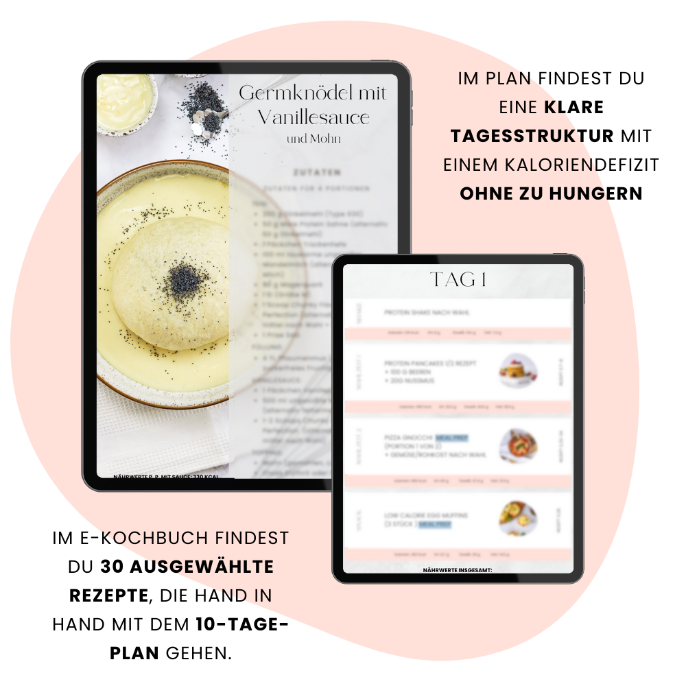 Abnehm-Bundle: 10-Tage-Abnehmplan (Proteinfasten-Edition) + Rezept-E-Book